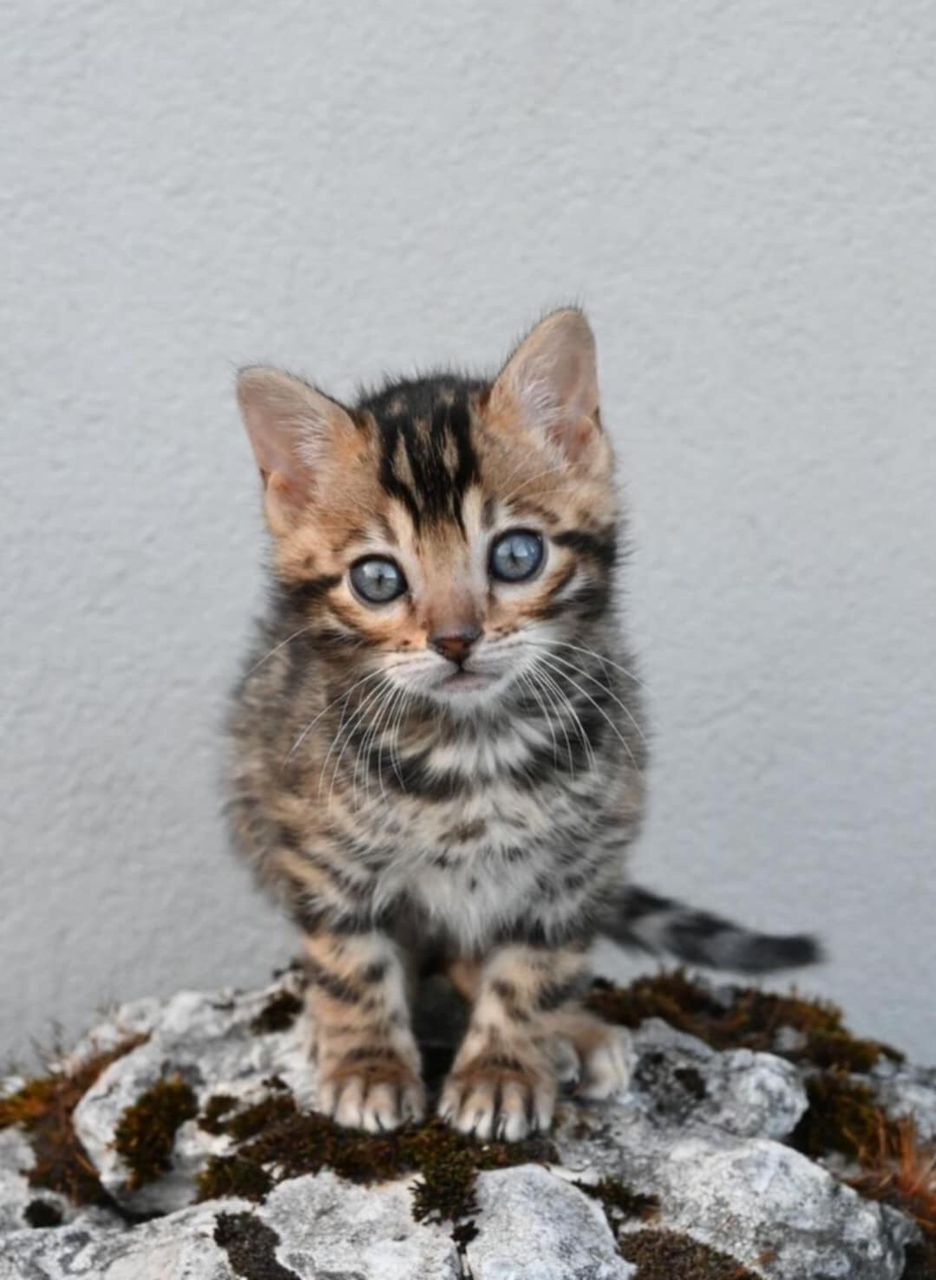 WhatsApp Image 2025-01-10 at 12.23.17 AM