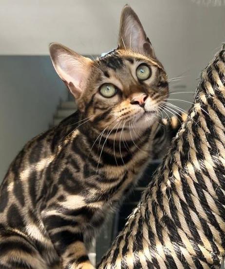 WhatsApp Image 2025-01-13 at 1.02.05 AM